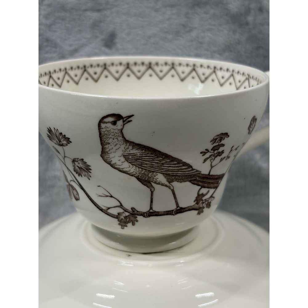 Wedgwood Williamsburg Aviary‎ Teacup Saucer Set Ivory Brown Birds England - Picture 6 of 14